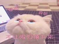 泰安市泰山区酷炫车毂修复中心