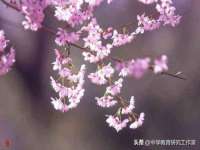 泰安市泰山区酷炫车毂修复中心
