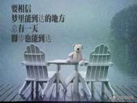 泰安市泰山区酷炫车毂修复中心