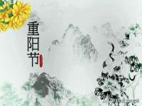泰安市泰山区酷炫车毂修复中心