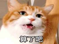 泰安市泰山区酷炫车毂修复中心