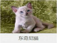 泰安市泰山区酷炫车毂修复中心