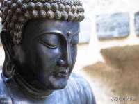 泰安市泰山区酷炫车毂修复中心