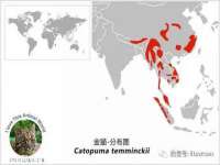 泰安市泰山区酷炫车毂修复中心