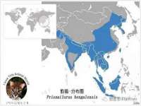 泰安市泰山区酷炫车毂修复中心