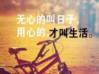 泰安市泰山区酷炫车毂修复中心