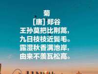 泰安市泰山区酷炫车毂修复中心