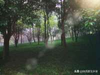 泰安市泰山区酷炫车毂修复中心