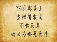泰安市泰山区酷炫车毂修复中心