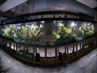 泰安市泰山区酷炫车毂修复中心